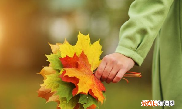 对已逝亲人思念的句子，表达思念已故亲人的句子简短