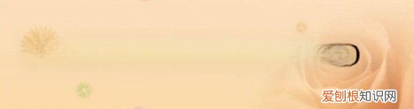 微信里什么叫星标朋友 微信里设为星标朋友是什么意思