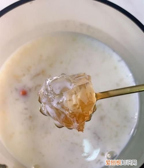炖桃胶什么时候加牛奶,桃胶雪燕皂角米怎么煮才能保存时间久一点
