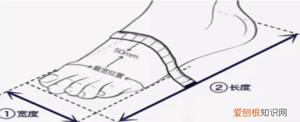 255鞋码是多大码，255码的鞋是多大码男鞋呢