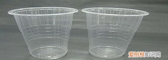 pp材质可以装开水吗，pp材质的可以开水烫