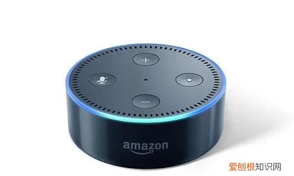 亚马逊的Alexa收集的数据比任何其他智能助手都多