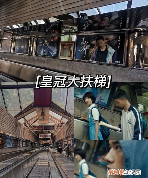 赵冠羽是重庆人吗，TF家族三代参加的快乐大本营第几期播出