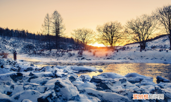 北方地区和西北地区的主导因素