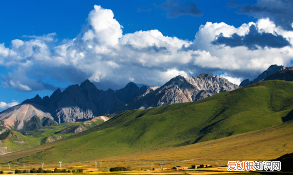 北方地区和西北地区的主导因素