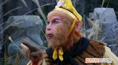 孙悟空的性格特点是啥,孙悟空的性格特点是什么