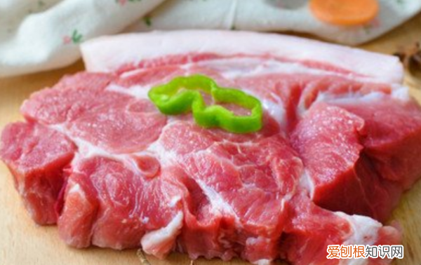 包饺子用什么肉