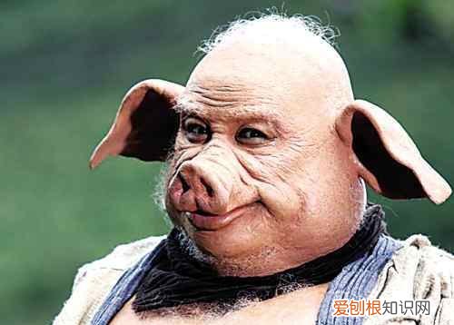 猪八戒是什么样的人，猪八戒是一个什么样的人