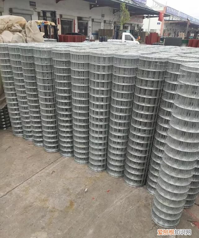 玉米该如何储存,粘玉米怎么储存