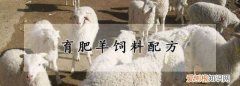 育肥羊饲料配方配比表，育肥羊饲料配方分析表软件