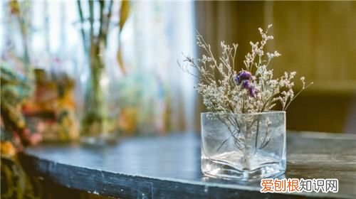 干花怎么打理,干花买回来怎么处理好