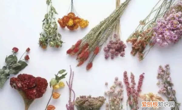 干花怎么打理，干花买回来怎么处理好