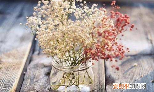 干花怎么打理,干花买回来怎么处理好