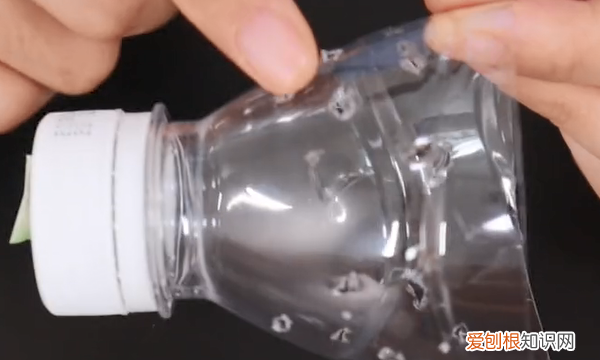 家里蟑螂成灾教你四步灭蟑螂