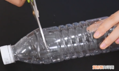 家里蟑螂成灾教你四步灭蟑螂