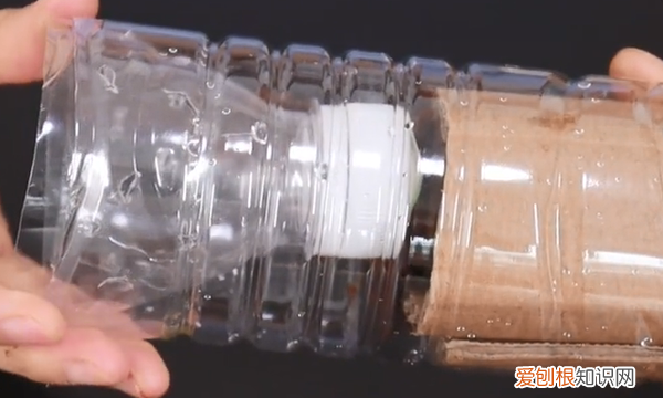 家里蟑螂成灾教你四步灭蟑螂