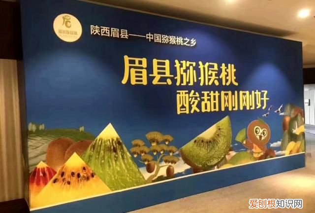 猕猴桃翠香还是徐香好吃 徐香和翠香猕猴桃的区别