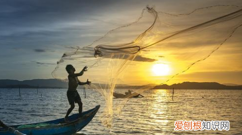 大海是渔民的什么