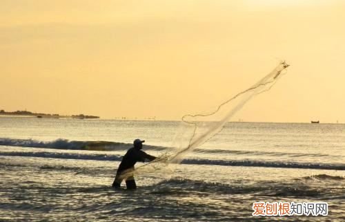 大海是渔民的什么