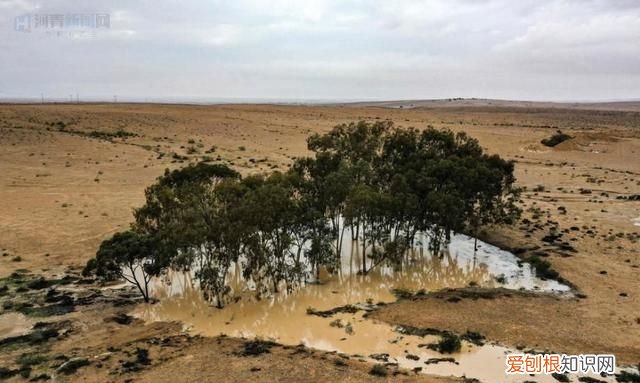 沙漠洪水是什么时候出现的 地球沙漠变成绿洲后会怎么样