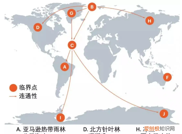 沙漠洪水是什么时候出现的 地球沙漠变成绿洲后会怎么样