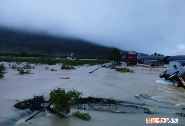 沙漠洪水是什么时候出现的 地球沙漠变成绿洲后会怎么样