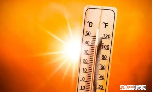 沙漠洪水是什么时候出现的 地球沙漠变成绿洲后会怎么样