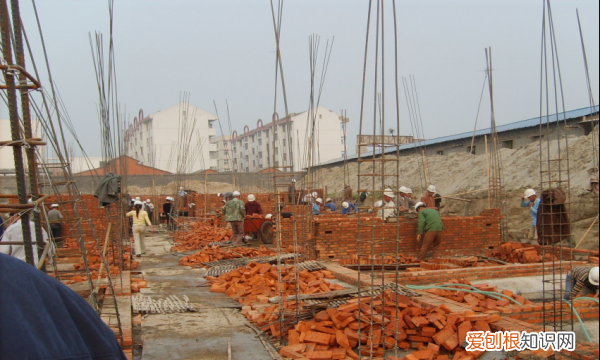 山东春考专业有哪些，春季高考有什么专业选择