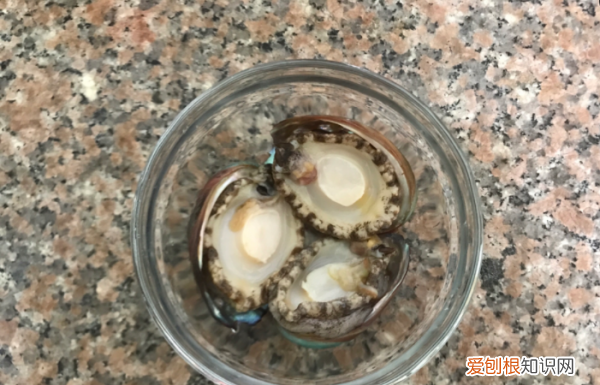 鲍鱼的做法及清洗,活鲍鱼的清洗及做法美食杰