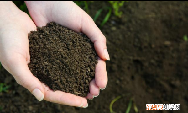 酸性土壤改良方法用什么肥,把土壤变成酸性最简单方法