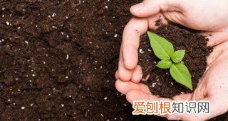 酸性土壤改良方法用什么肥,把土壤变成酸性最简单方法