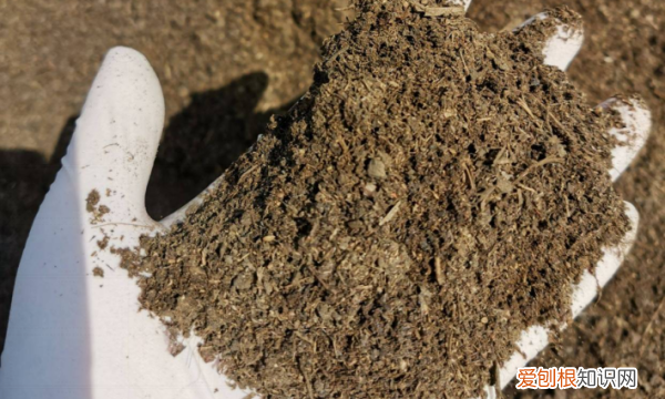 酸性土壤改良方法用什么肥,把土壤变成酸性最简单方法