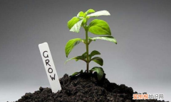 酸性土壤改良方法用什么肥，把土壤变成酸性最简单方法