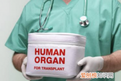 八大淋巴都在什么位置，人体身上的八大淋巴作用