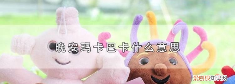 巴卡是什么意思