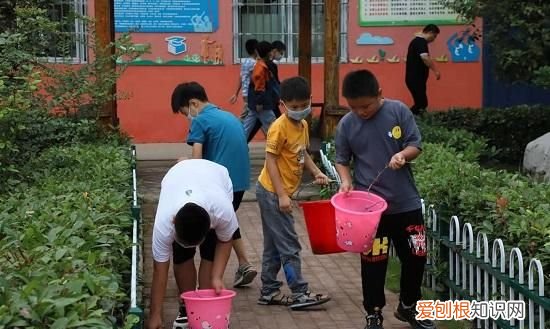 宿州市中小学2021年秋季开学