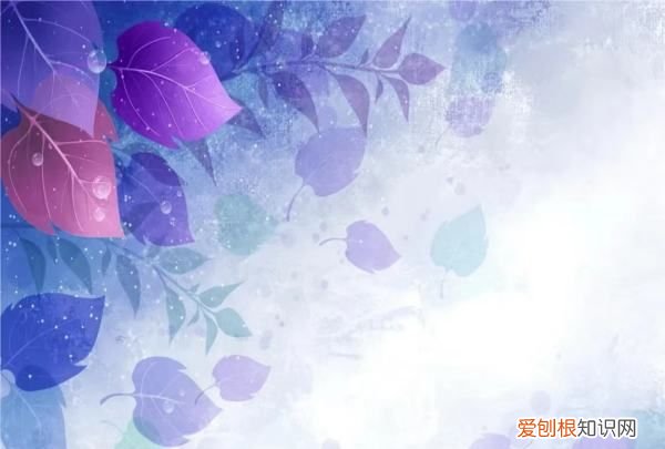 cdr怎么画直线,cdr中要如何画直线