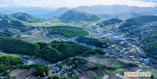 甘肃省陇南市武都结婚流程