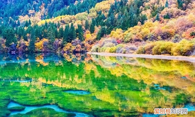 甘肃省陇南市武都结婚流程