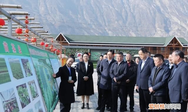 甘肃省陇南市武都结婚流程