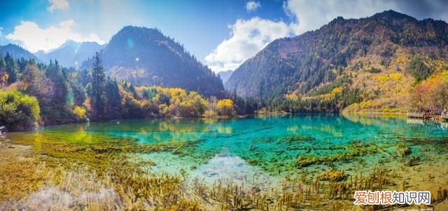 甘肃省陇南市武都结婚流程