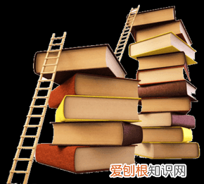 白子竿头更进一步什么意思，百尺竿头更进一步是什么意思