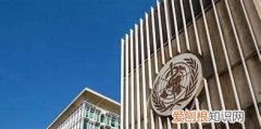 世卫组织是在哪里，世界卫生组织简介英文