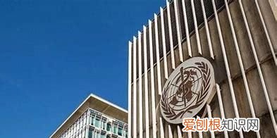 世卫组织是在哪里,世界卫生组织简介英文