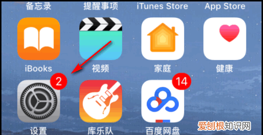 手机放大镜功能怎么打开使用，苹果手机放大镜功能在哪里找