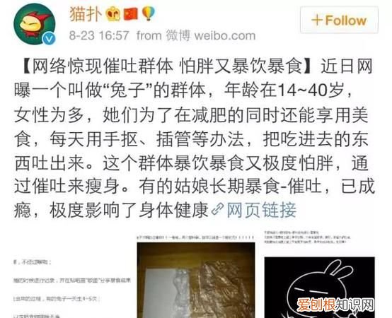 百害无一利的意思是什么