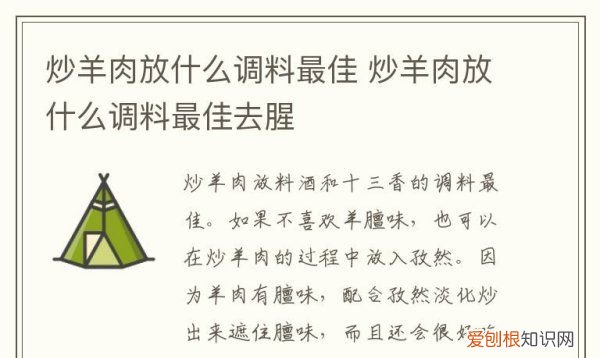 炒羊肉放什么调料,炒羊肉放什么调料最佳