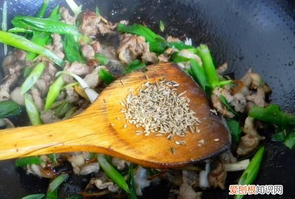 炒羊肉放什么调料,炒羊肉放什么调料最佳