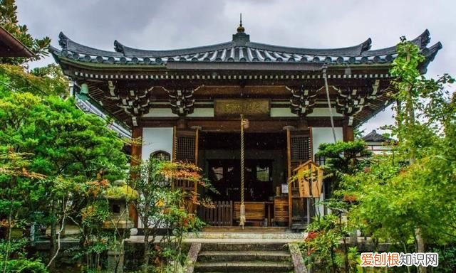 十位诗人十首绝命诗词直达灵魂