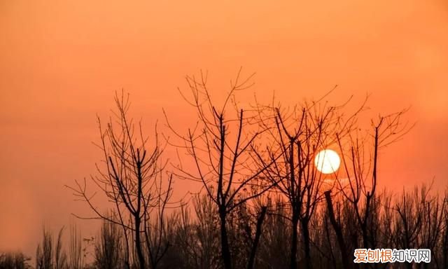 十位诗人十首绝命诗词直达灵魂